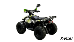 Квадроцикл Bison Eagle 110