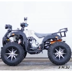 Квадроцикл STALKER 250 Premium