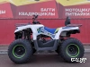 Квадроцикл PROMAX RENEGADE 300