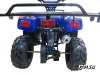 Квадроцикл ATV Atomik Spark
